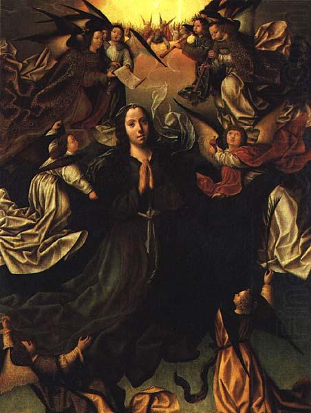 FERNANDES, Vasco Assumption of the Virgin  dfg oil painting picture